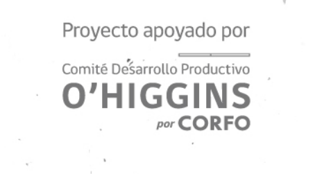 Logo del Comité Corfo